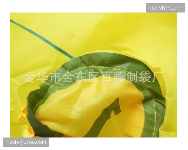 张琳芃比赛里像坦克,逛街拎着促销袋那画面真的让人笑出声 张琳芃比赛里像坦克,逛街拎着促销袋那画面真的让人笑出声